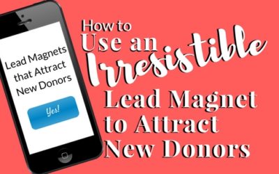How to Use an Irresistible Lead Magnet to Attract New Donors