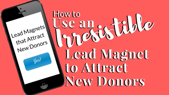 How to Use an Irresistible Lead Magnet to Attract New Donors