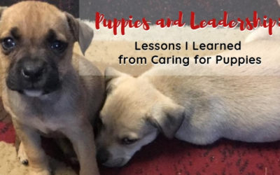 Puppies and Leadership: Lessons I Learned from Caring for Puppies