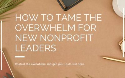How to Tame the Overwhelm for New Nonprofit Leaders