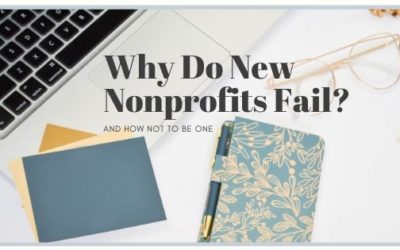 Why do new Nonprofits fail?