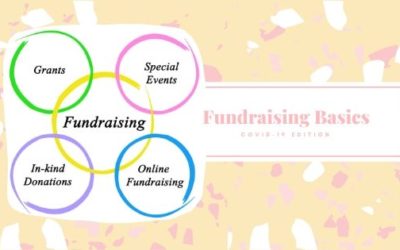 Fundraising Basics: COVID-19 Edition